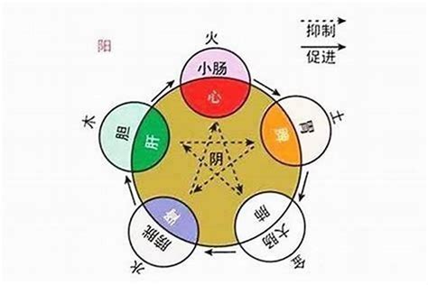 八字 丙火|什么是丙火，丙火属性详解——天玄网